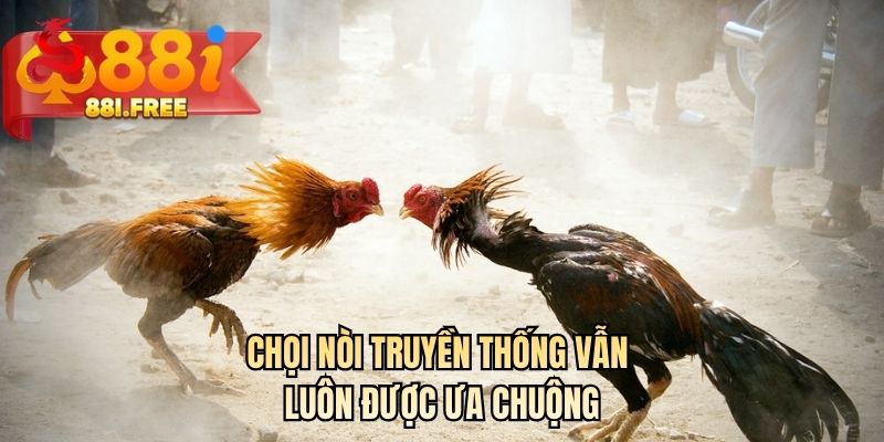 Chọi nòi truyền thống vẫn luôn được ưa chuộng